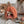 Load image into Gallery viewer, Maileg, Pumpkin Carriage, Mouse
